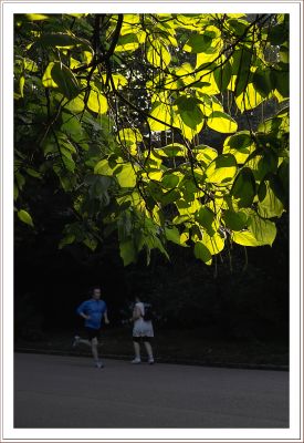 IMG13213.jpg