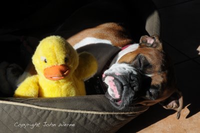 Me and my ducky