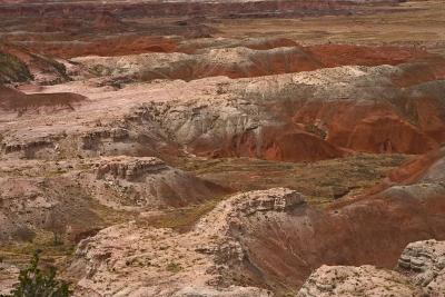 Painted Desert 14