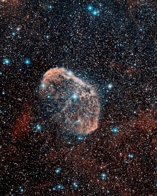 NGC 6888 - Crescent Nebula (DSS Red & Blue Plates)