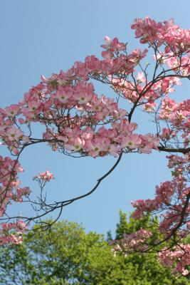 IMG_0488.jpg