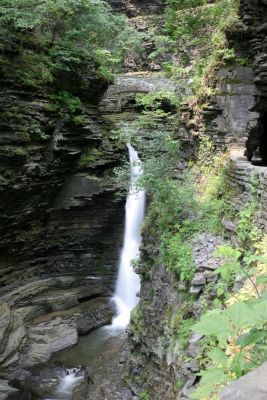 IMG_7738.jpg