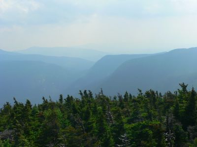 View from Tower