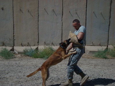 TSgt Kurt Lugar decoying with MWD Danita