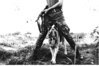 NKP 1971-Nightfighter Jake-0X14.  I owe this dog my life.  He showed me the way.