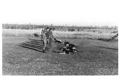 Handlers and Dogs in Training area-5