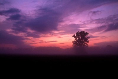 Foggy -Sunset.jpg