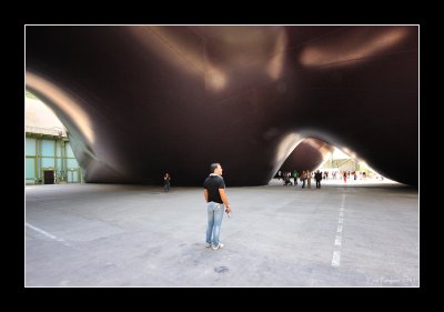 Anish Kapoor au Grand Palais EPO_3528