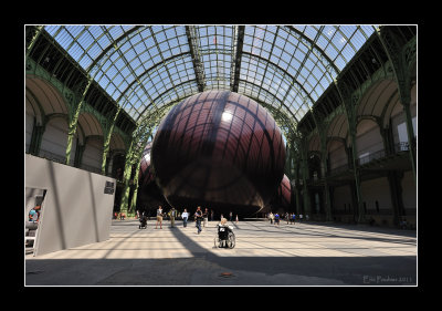 Anish Kapoor au Grand Palais  EPO_3535