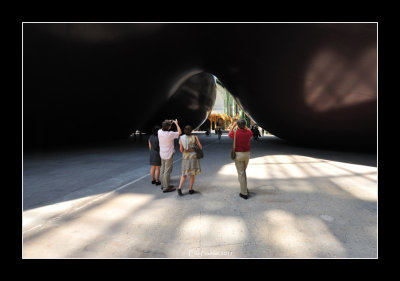 Anish Kapoor au Grand Palais