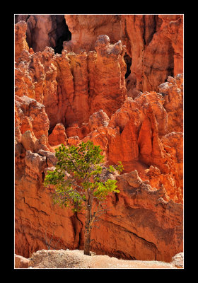 Bryce Canyon National Park EPO_3992.jpg