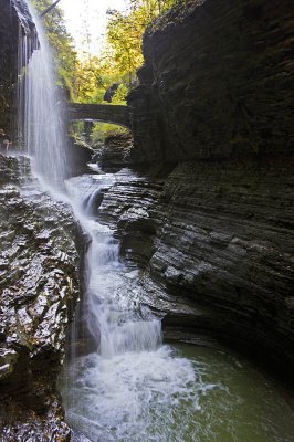 Watkins Glen State Park