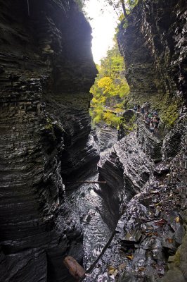 Watkins Glen State Park