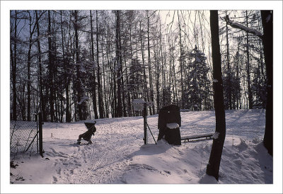 scan9436_velvia50_minolta_x2.jpg