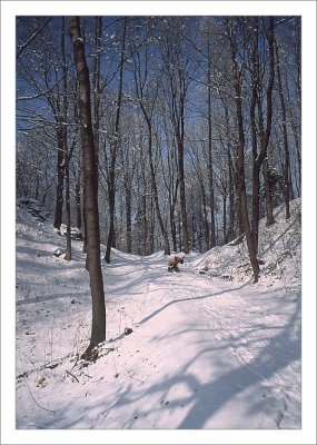 scan9439_velvia50_minolta_x2.jpg