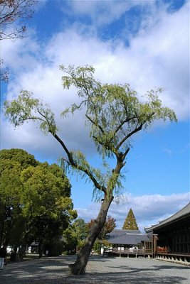 Kyoto