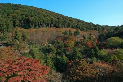 Kyoto