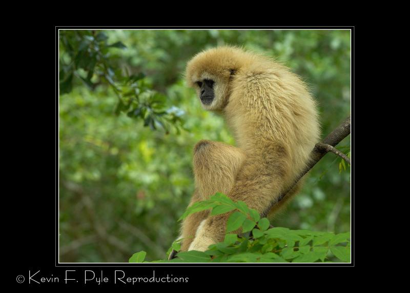 Zoo of Acadiana-0017.jpg