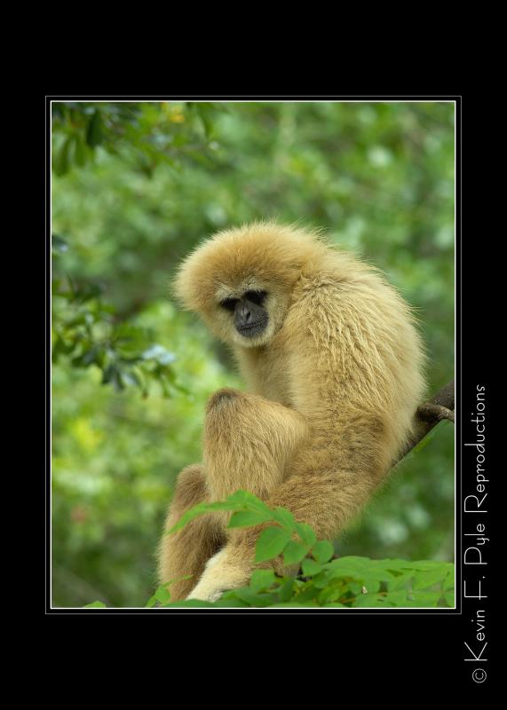 Zoo of Acadiana-0018.jpg