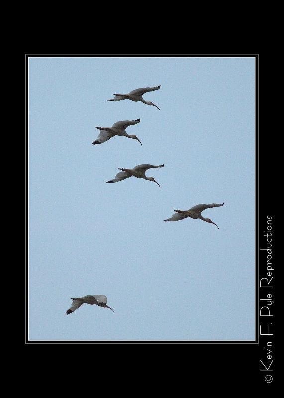 LakeMartin6 20 06-0053.jpg