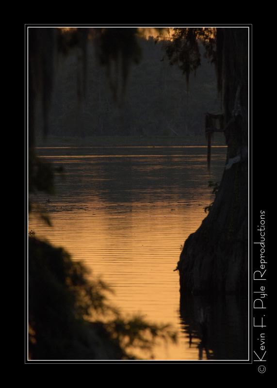 LakeMartin6 20 06-0080.jpg