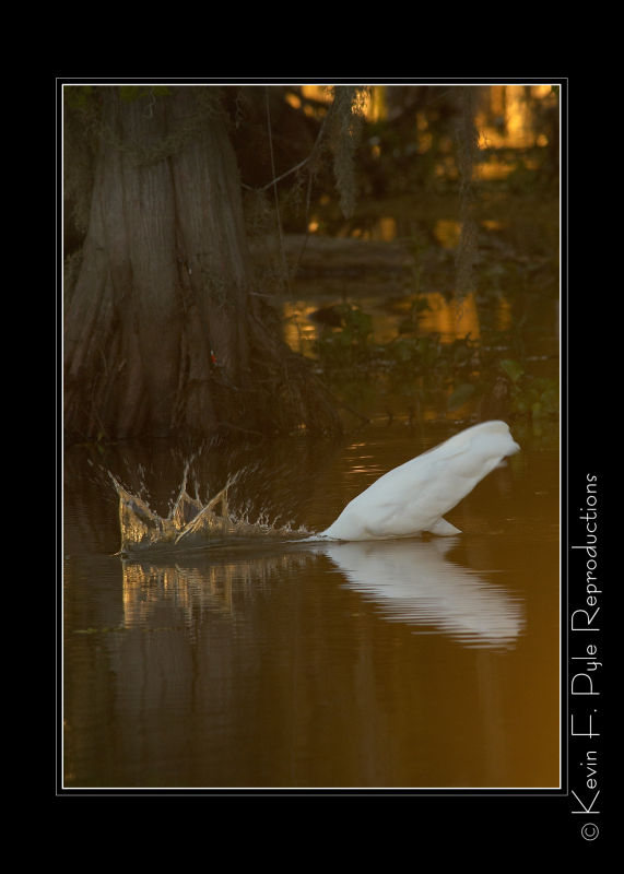 LakeMartin 6 28 06-0077.jpg