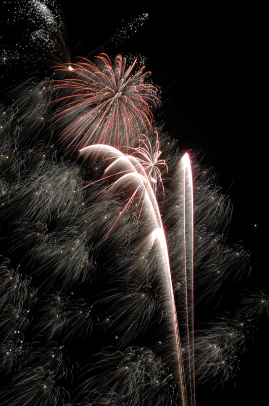 DSC_6980.jpg