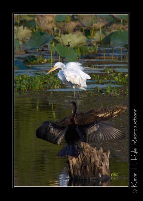 LakeMartin 6 28 06-0045.jpg