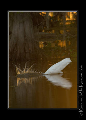 LakeMartin 6 28 06-0077.jpg