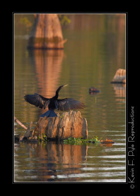 LakeMartin 6 28 06-0101.jpg