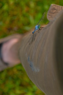 DSC_0619.jpg