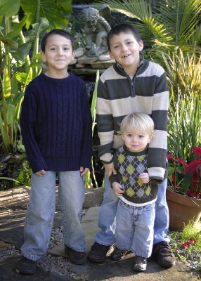 3 Sons.jpg