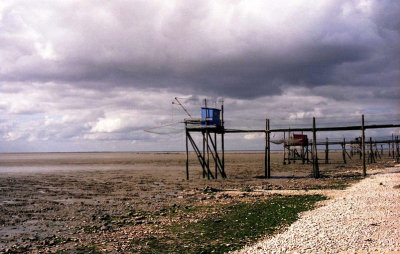 g4/37/625937/3/91255370.SPynzVpj.jpg
