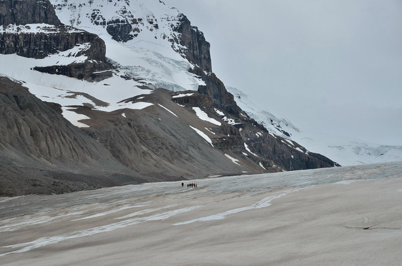 Athabasca Glacier Jasper NP