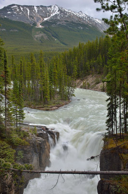 Sunwapta Falls Jasper NP