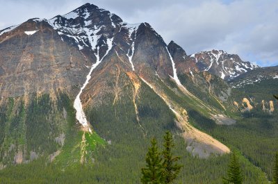Along Edith Cavell  Road, jasper NP