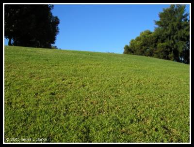 Something like a Windows XP wallpaper