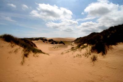 Dunes at Sands of Forvie Reserve