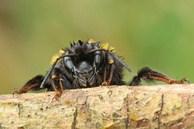 sized_IMG_8033.jpg