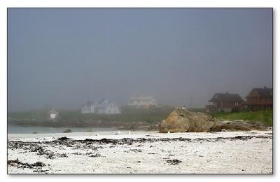 sized-Mist 04.JPG