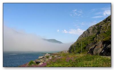 sized-mist 12.JPG