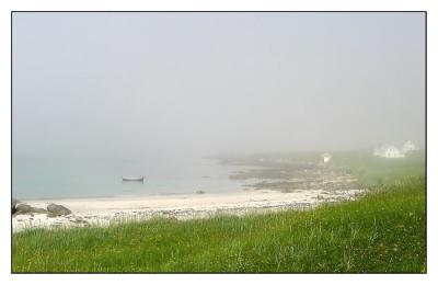 sized-mist 2121.JPG