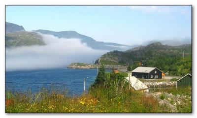 sized-mist.JPG