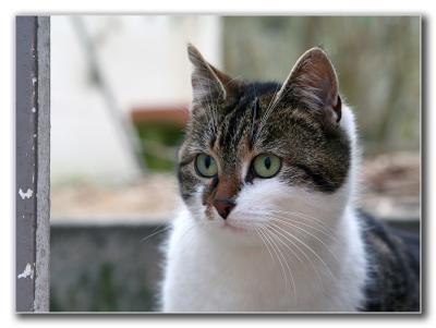 sized-Naamloos-10012.JPG