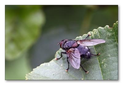 sized02-Untitled-1.JPG