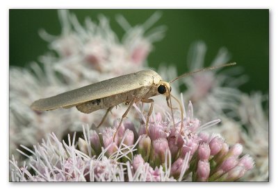sized-Untitled-6.JPG