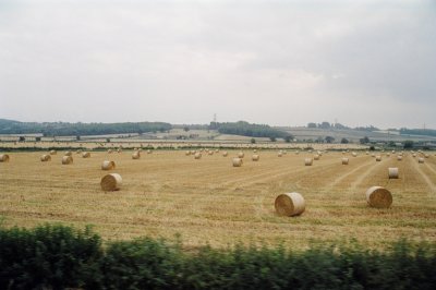 05.jpg