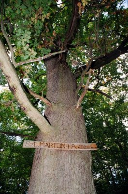 A Szent Mrton-fa - The Saint Martin tree.jpg