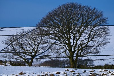North Derbyshire in January