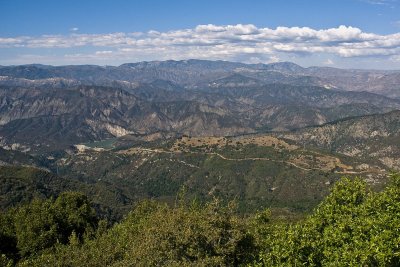 In the hills above Santa Barbara CA DSC_0758.jpg